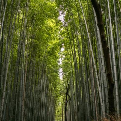 宝宝学身体部位游戏下载